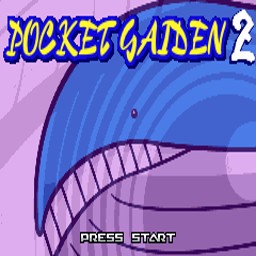 Pocket Gaiden 2 ROM