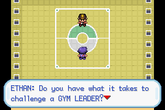 Pokemon Battle on with Gym Leader